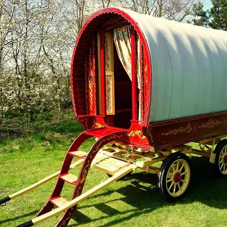 Campsite With Gypsy Vardo Bell Tent 펜션 *
