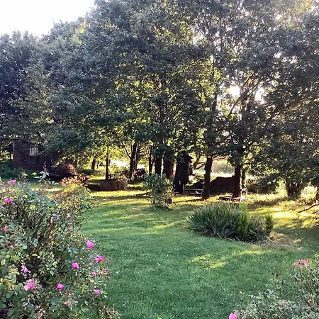 Campsite With Gypsy Vardo Bell Tent