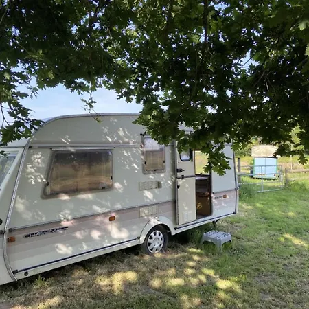 펜션 Campsite With Gypsy Vardo Bell Tent Lore
