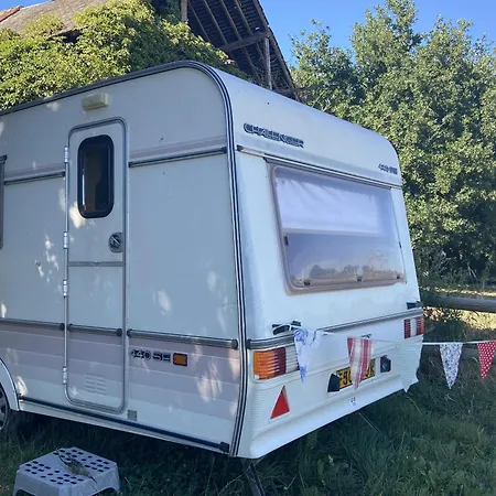 Campsite With Gypsy Vardo Bell Tent 펜션 Lore